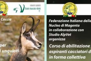 Corsi abilitazione alla caccia di selezione agli ungulati e alla collettiva al cinghiale – FIDC Magenta – 17 marzo 2020