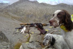 Tipica Fauna Alpina in Piemonte – Norme e tutela