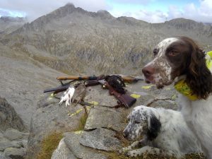 Tipica Fauna Alpina in Piemonte – Norme e tutela