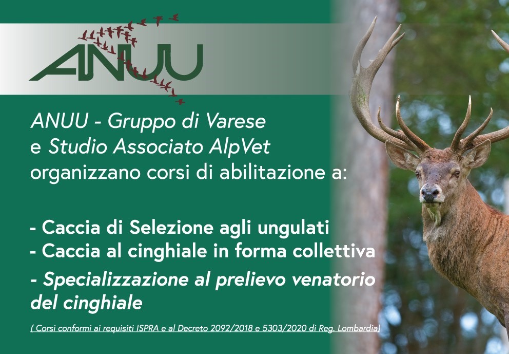 Corso abilitazione caccia selezione agli ungulati, collettiva e specializzazione cinghiale – ANUU Varese