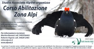 Corso Zona Alpi