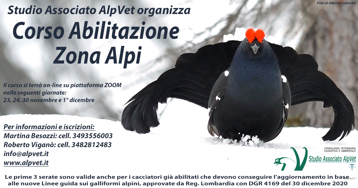 Corso Zona Alpi