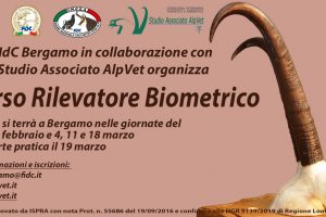 Corso Rilevatore Biometrico – Bergamo