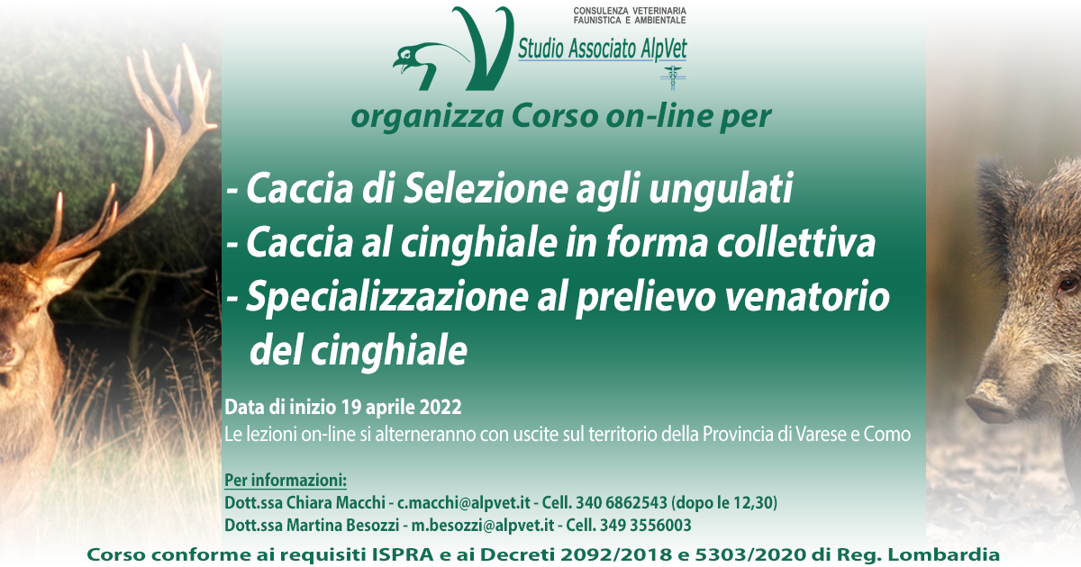 Corso on-line per Abilitazione Caccia di selezione agli ungulati, Collettiva al cinghiale e Specializzazione al cinghiale
