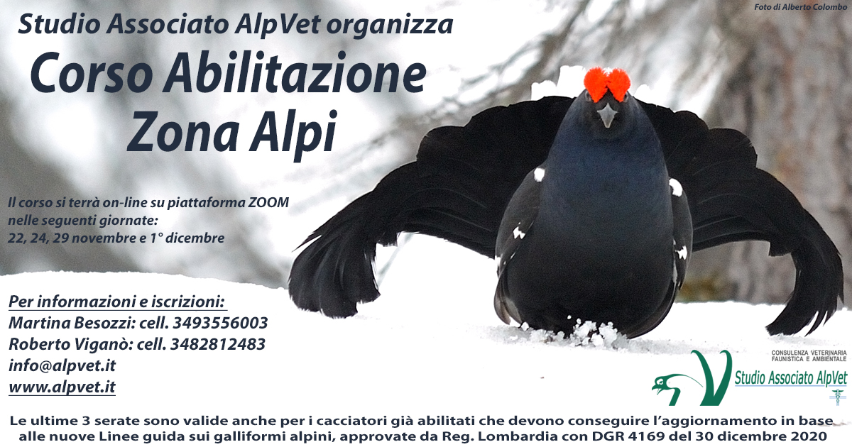 Corso di preparazione all’Abilitazione Zona Alpi – On-Line, 22 novembre 2022