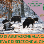 Corso di Abilitazione alla caccia collettiva e di selezione al Cinghiale – Castelcovati (BS) – 5 febbraio 2024