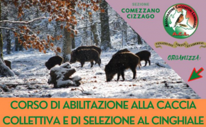 Corso di Abilitazione alla caccia collettiva e di selezione al Cinghiale – Castelcovati (BS) – 5 febbraio 2024