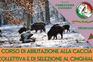 Corso di Abilitazione alla caccia collettiva e di selezione al Cinghiale – Castelcovati (BS) – 5 febbraio 2024