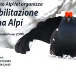 Corso di preparazione all’esame di abilitazione alla Zona Alpi – On-Line – 18 marzo