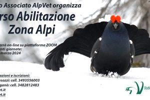 Corso di preparazione all’esame di abilitazione alla Zona Alpi – On-Line – 18 marzo