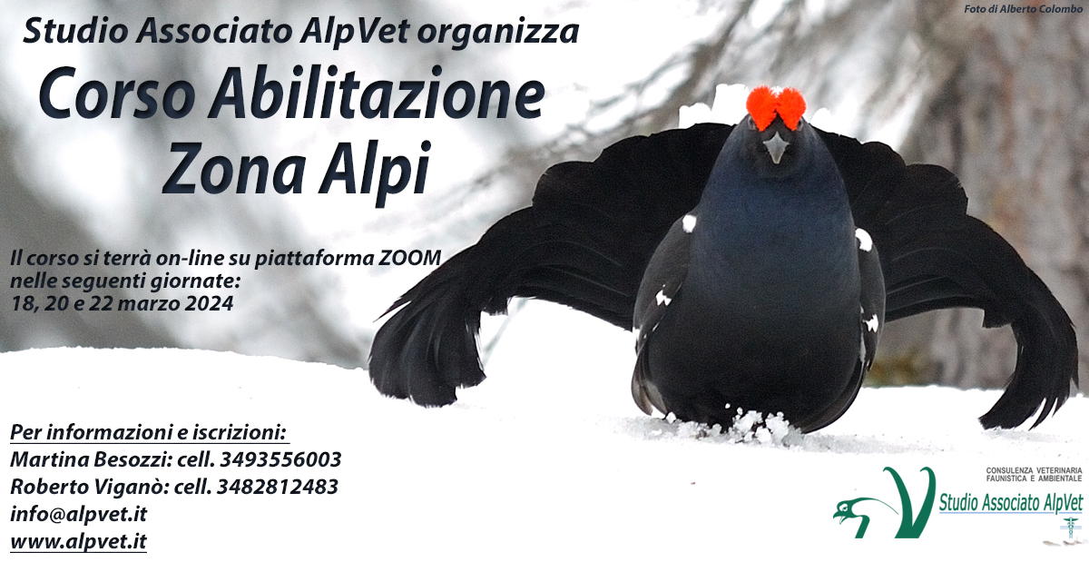 Corso di preparazione all’esame di abilitazione alla Zona Alpi – On-Line – 18 marzo